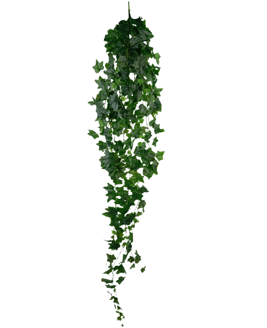 Artificiell murgröna 180 cm grön är en enda konstgjord grön murgröna med täta, spetsiga blad som hänger vertikalt mot en vanlig vit bakgrund.