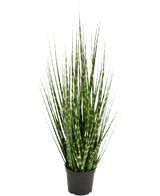 Konstgräs Zebra lökgräsgren är en 56 cm brandskyddande konstväxt med långsmala gröna blad och ljusgröna ränder, som står upprätt i en liten svart kruka mot en vit bakgrund.