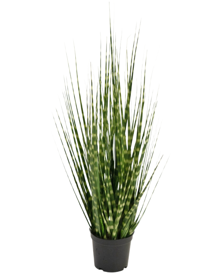 Konstgräs Zebra lökgräsgren är en 56 cm brandskyddande konstväxt med långsmala gröna blad och ljusgröna ränder, som står upprätt i en liten svart kruka mot en vit bakgrund.