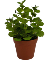 De Kunstplant Mint 30 cm is een kleine kunstplant met ronde groene bladeren in een bruine plastic pot, tegen een effen witte achtergrond.