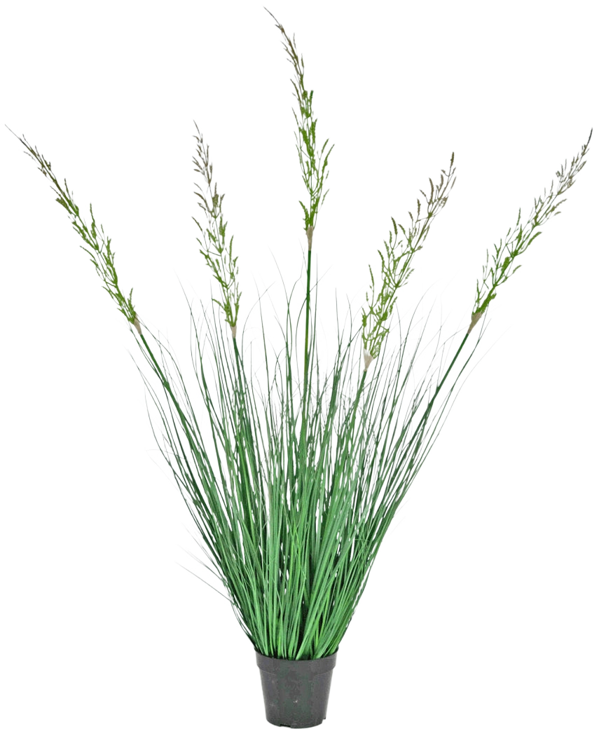 Konstgräsväxtvete 120 cm brandskyddsmedel i kruka har höga, upprättstående blad och blommande stjälkar, vilket gör den idealisk för en grön inredning. Denna underhållsfria växt lägger till stilfull grönska mot en vit bakgrund.