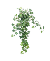 De Kunst Klimop Deluxe Groen 60cm is een weelderige, kunstmatige klimopplant met trapsgewijze groene bladeren tegen een effen witte achtergrond.