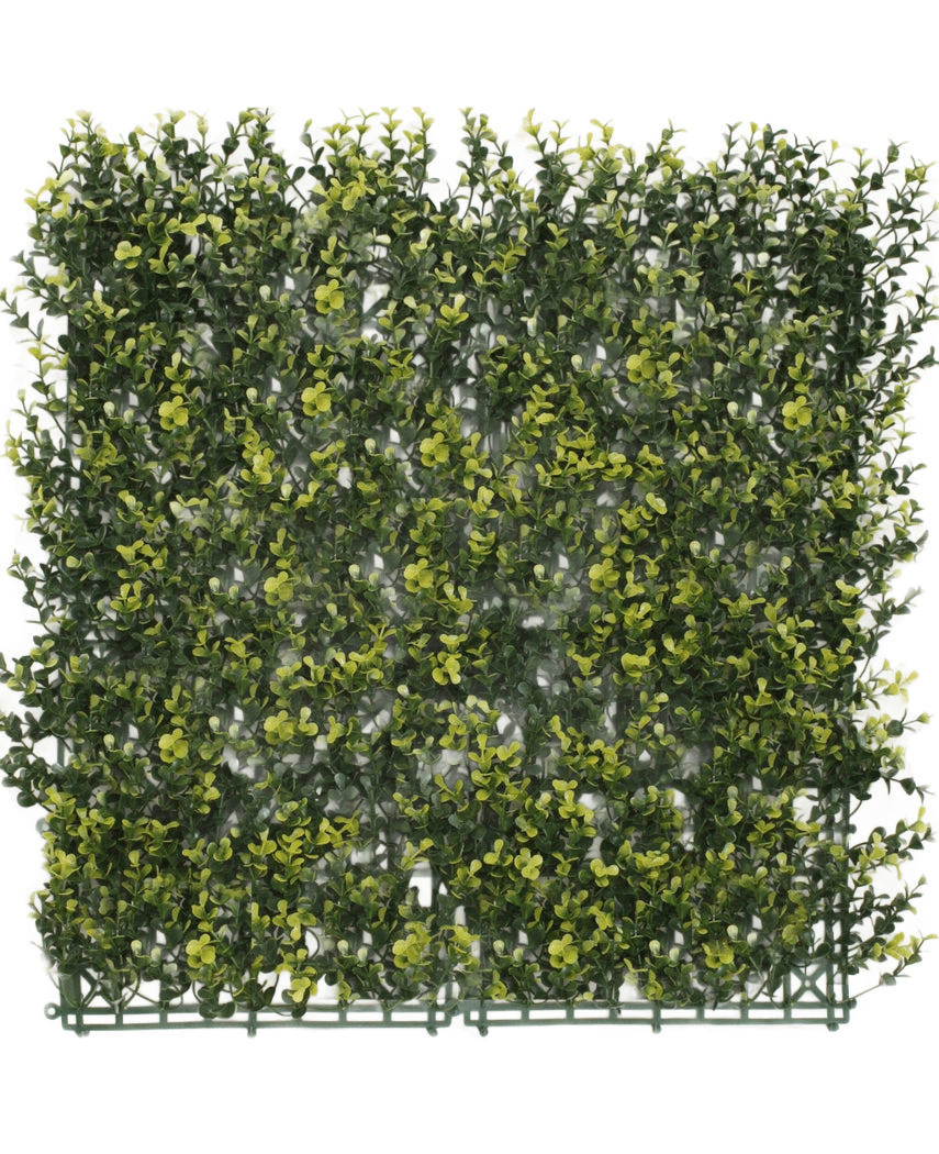 Artificiell häck buxbom gul 50x50 cm UV är en fyrkantig panel av tätt konstgjordt grönt bladverk med gula löv, designat för att likna en häck eller trädgårdsvägg, mot en vanlig vit bakgrund.