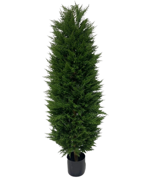 Den konstgjorda växten Barrträd UV 180cm är ett högt, smalt konstgjort vintergrönt träd med täta, mörkgröna blad, avbildat mot en vit bakgrund.