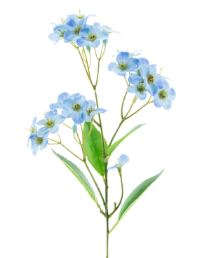 Een Kunstbloem Orchidee Real Touch Blauw 50 cm met trossen tere lichtblauwe bloemen en enkele groene blaadjes staat tegen een effen witte achtergrond.