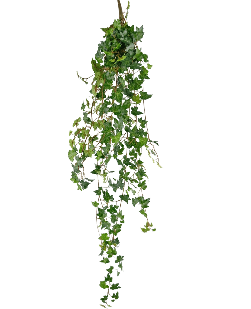 Den konstgjorda hängande växten Ivy deluxe 120 cm grön har långa, gröna rankor med hjärtformade löv, perfekt för att lägga till en touch av naturlig skönhet mot en vanlig vit bakgrund.