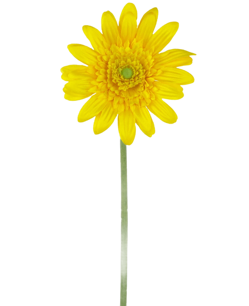 Den konstgjorda blomman Gerbera 53 cm gul är en enda gul konstgjord tusensköna med ett grönt hjärta och en lång grön stjälk, mot en vanlig vit bakgrund.