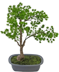 Konstgjord växt Bonsai Enbär 40 cm