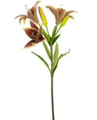 Konstgjord blomma Asiatisk lilja 66 cm gammal rosa