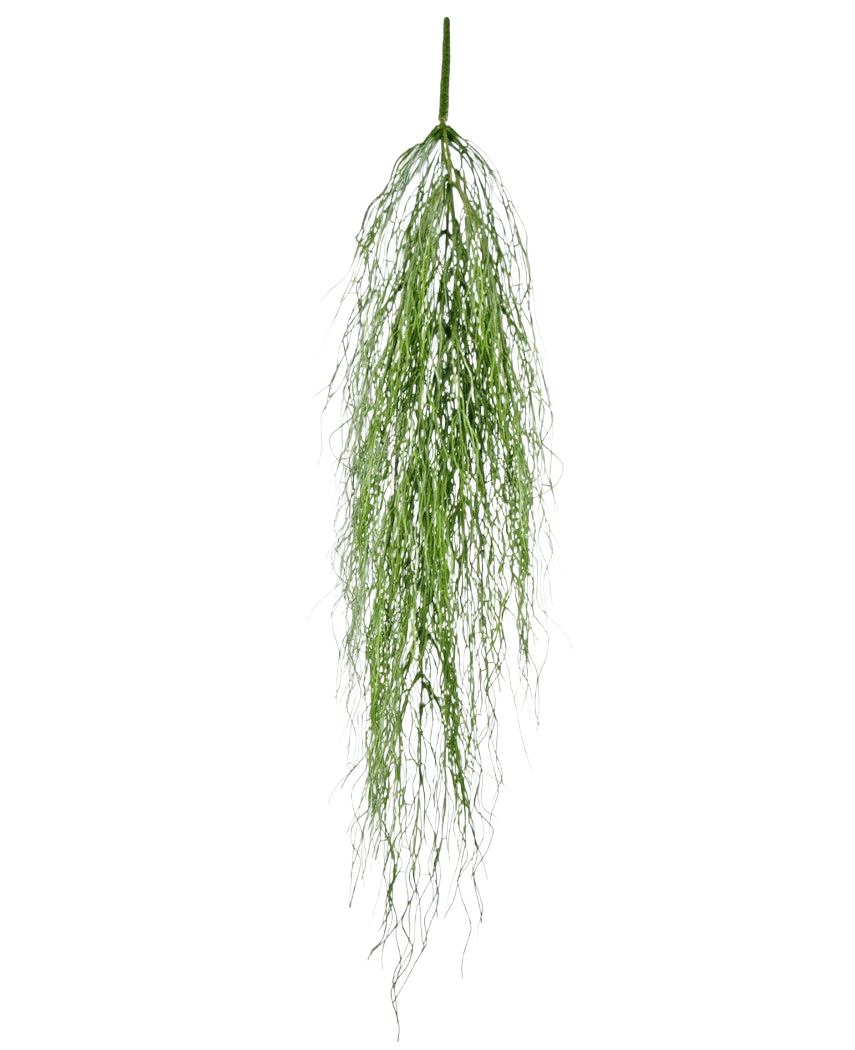 Den konstgjorda hängande växten Kelp grass 91 cm har en enda stjälk av fluffigt grönt konstgjort blad med långa, tunna blad som faller graciöst mot en vanlig vit bakgrund.