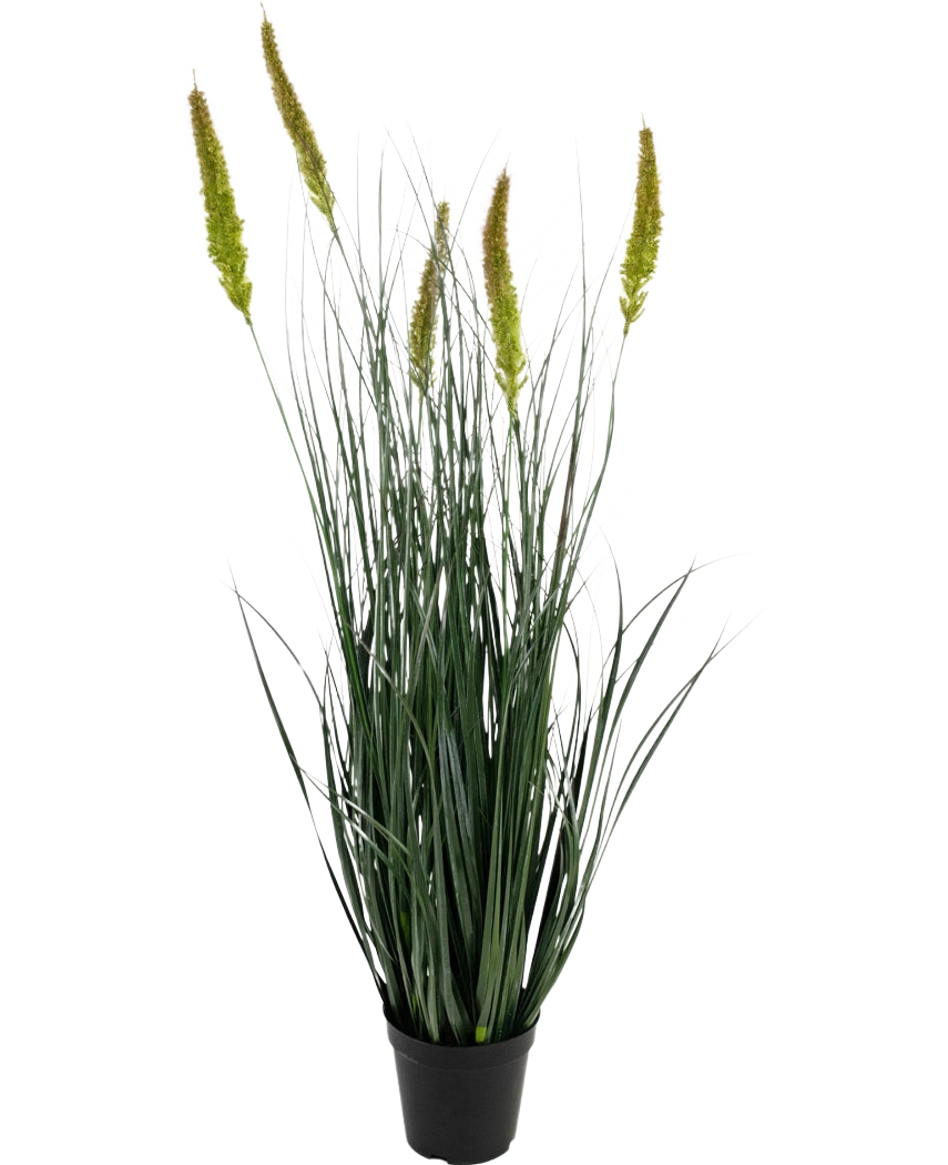 Artificiellt gräs Cattail Onion Grass Pot 90 cm Brandskyddsmedel är en konstgräsplanta i kruk med långa, smala gröna blad och flera höga, gulgröna fröhuvuden på en vanlig vit bakgrund.