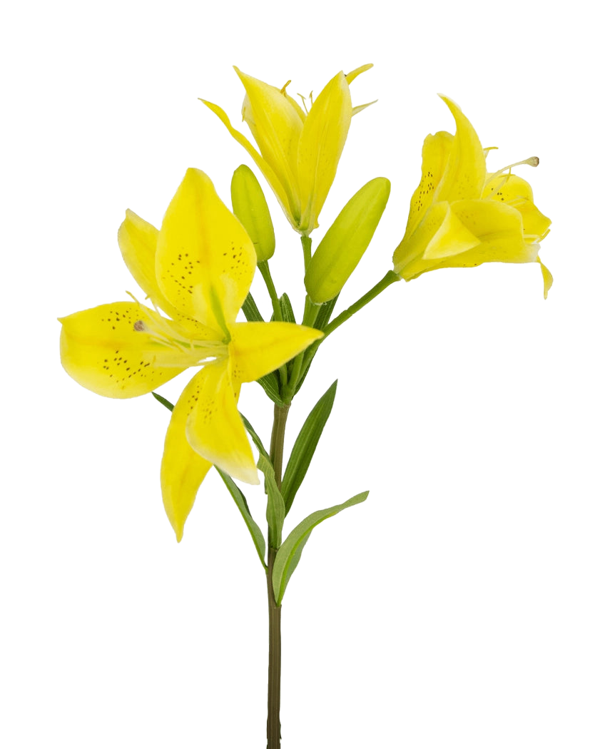 Den konstgjorda asiatiska liljan 66 cm gul har en stjälk med flera blommande gula liljor och oöppnade knoppar, spetsiga kronblad med mörka fläckar i mitten och gröna blad, allt mot en vit bakgrund.