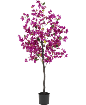 Artificiell Bougainvillea 150 cm Lila har en hög, smal stjälk med livfulla lila blommor och gröna blad, i en enkel svart kruka mot en vit bakgrund.