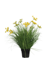 Konstgräsväxten Asteraceae 70 cm brandskyddsmedel har långa, tunna gröna blad och klasar av små gula blommor i en svart kruka, som är en konstgräsplanta med lågt underhåll mot en vanlig vit bakgrund.