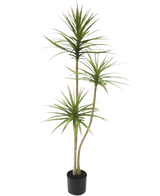Konstgjorda växten Dracaena Fragnans 150 cm är en hög konstgjord växt i en kruka med tre smala stjälkar med striga gröna blad mot en vanlig vit bakgrund.
