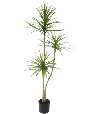 Konstgjorda växten Dracaena Fragnans 150 cm är en hög konstgjord växt i en kruka med tre smala stjälkar med striga gröna blad mot en vanlig vit bakgrund.