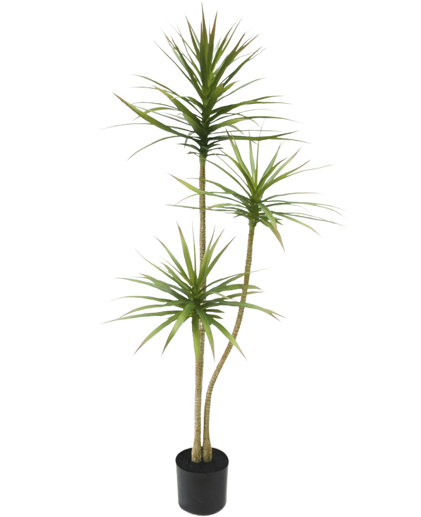 Den konstgjorda växten Dracaena Fragnans 150 cm är en hög konstgjord växt i en kruka med tre smala stjälkar med strågröna blad mot en vanlig vit bakgrund.