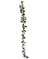 Art Tradescantia Garland Green 180 cm är en enda grön lövranka som är avbildad vertikalt mot en vanlig vit bakgrund.
