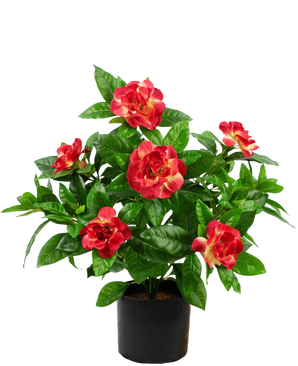 Konstgjord växt Gardenia 39 cm fuchsia