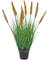 In een zwarte pot zitten hoge, groene grasachtige bladeren met bruine pluimen die lijken op pampagras. De Kunst Grasplant Struisriet 80 cm brandvertragend is een realistische kunstplant uit onze collectie kunstplanten, afgebeeld tegen een witte achtergrond.