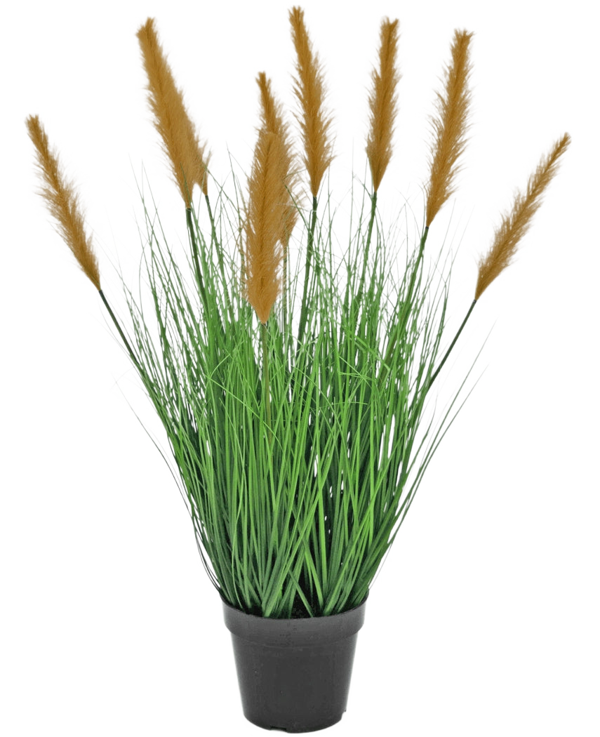 Konstgräsväxten Struts 80 cm brandskyddsmedel har långa, smala gröna blad och höga bruna plymer i en svart kruka, mot en vit bakgrund - perfekt för konstgjorda växtälskare.