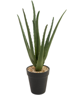 Konstgjorda växten Aloe Vera 33 cm har långa, strösiga gröna blad som växer uppåt, i små stenar i en snygg svart kruka, mot en vit bakgrund.