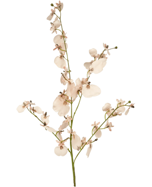 Artificiell grenorkidé 80 cm rosa har en enda stjälk av ljusrosa konstgjorda orkidéer med flera blommor och små knoppar på tunna gröna grenar, mot en enkel vit bakgrund.