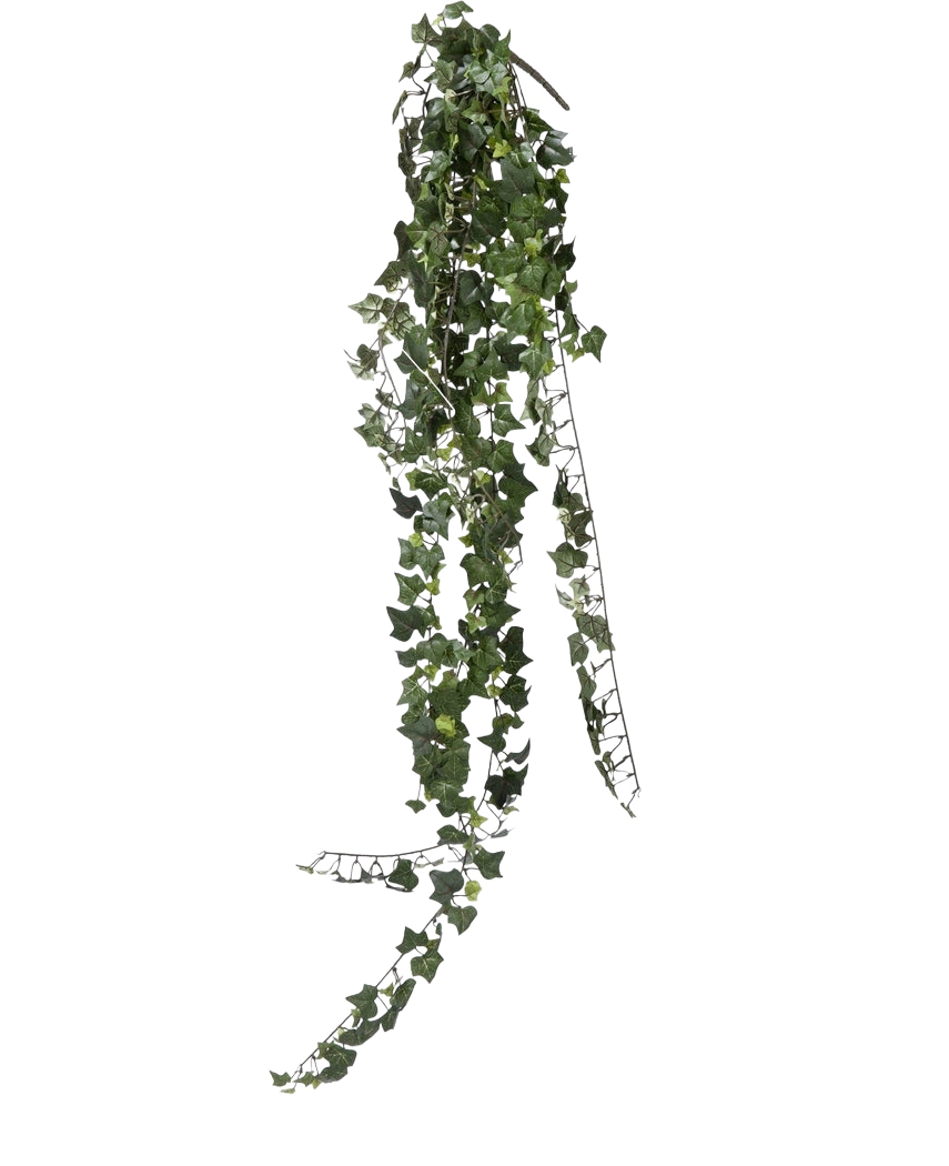 En enkel sträng av konstgjord murgröna hängande växt 125 cm brandskyddsmedel med mörkgröna, hjärtformade löv hänger ner mot en vanlig vit bakgrund.
