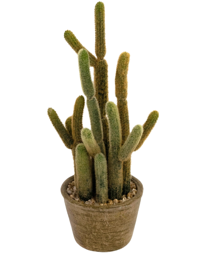 Artificiell kaktus Cereus 35 cm har flera långa, fluffiga gröna och bruna stjälkar som växer uppåt i olika riktningar, i en rund kruka med struktur och dekorativa stenar.