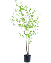 Konstgjord växt Enkianthus 150 cm