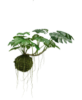 Den konstgjorda hängväxten Monstera Deluxe 60 cm har stora gröna blad och långa rötter som hänger från en mosskula, vilket skapar en tropisk atmosfär mot en vit bakgrund.