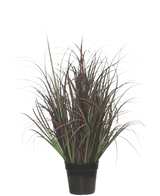 De Kunst Grasplant Wild Lawn 70 cm, brandvertragend, heeft donkergroene en roodpaarse smalle bladeren in een zwarte pot - perfect als onderhoudsvrije plant voor elk interieur.