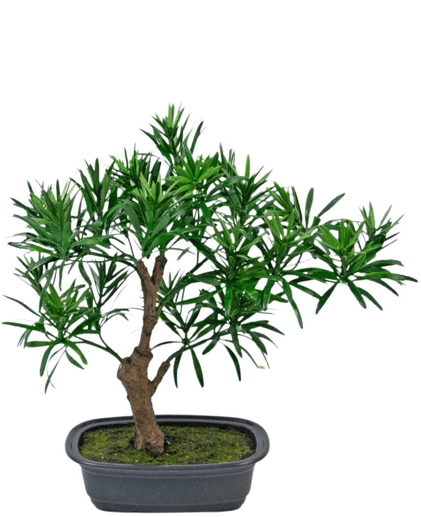 Den konstgjorda växten Bonsai Podocarpus 30 cm har en liten krukbonsai med en tjock brun stam och täta, smala gröna blad i en rektangulär grå kruka fylld med mossjord.