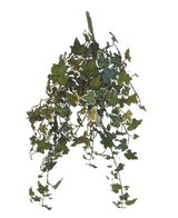 De Kunst Klimop Deluxe Groen-wit 60cm is een hangende kunstklimop plant met trapsgewijze groene en witte bonte bladeren, tegen een effen witte achtergrond.