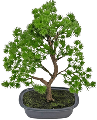 Konstgjord växt Bonsai Enbär 30 cm