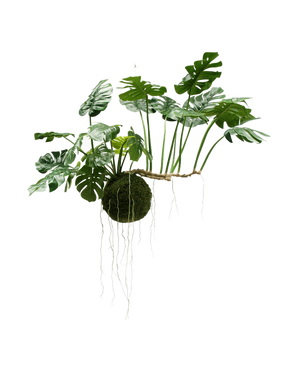 Den konstgjorda hängande växten Monstera Deluxe 80 cm, med frodigt gröna blad och långa synliga rötter, hänger mot en vit bakgrund och ger omedelbart din inredning en tropisk look.