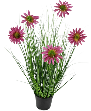 Konstgräsväxten Chrysanthemum 60 cm brandskyddsmedel har långa, tunna gröna gräsliknande blad och sex rosa krysantemumblommor med ett gult hjärta i en svart kruka, mot en vanlig vit bakgrund.
