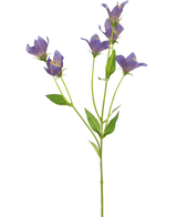 Den konstgjorda blomman Harebell 62 cm lila har en enda grön stjälk med flera grenar, var och en dekorerad med fina lila blommor och gröna blad, mot en vanlig vit bakgrund.