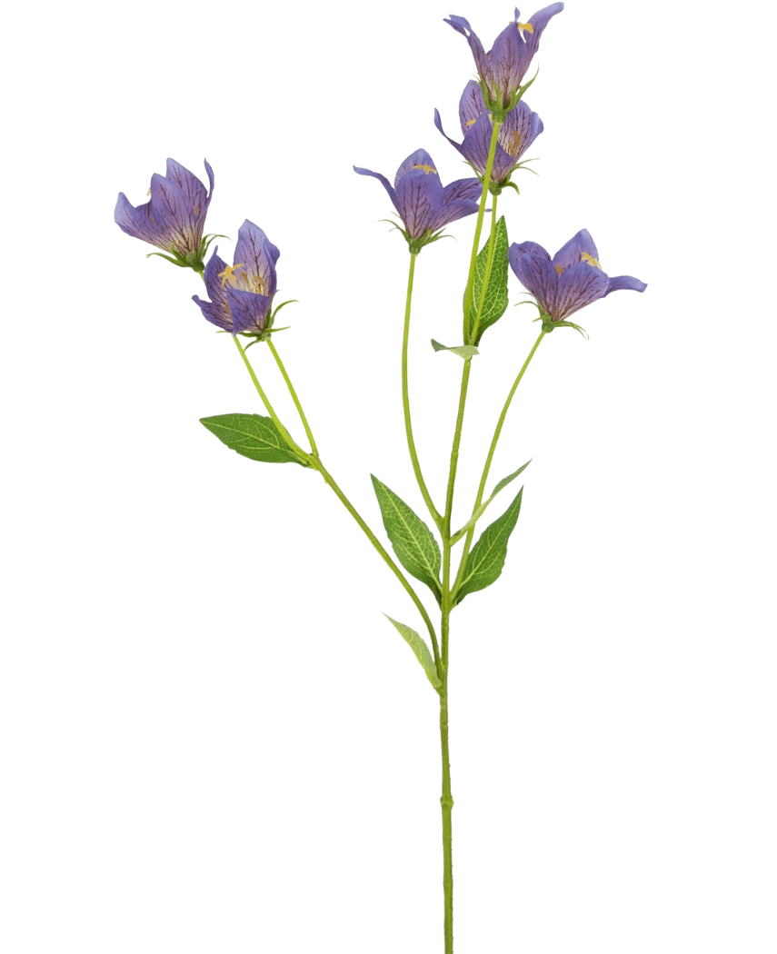 Den konstgjorda blomman Harebell 62 cm lila har en enda grön stjälk med flera grenar, var och en dekorerad med fina lila blommor och gröna blad, mot en vanlig vit bakgrund.