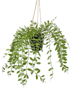 Den konstgjorda hängande växten Pumila i en 30 cm kruka har gröna rankor med ovala blad, hängande i tre snören mot en vanlig vit bakgrund.