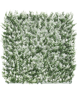 Artificiell Hedge Buxbom vit 50x50 cm UV är en fyrkantig konstgjord buxbomspanel med små vitspetsade blad på ett plastgaller, avbildat på en vit bakgrund.