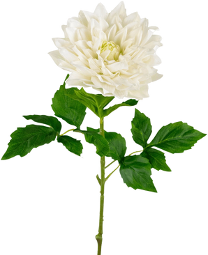 En Kunst Georgine Real Touch vit 70 cm har en verklighetstrogen enkel vit dahlia med skiktade kronblad och grönt tandade blad på en lång stjälk, mot en vanlig vit bakgrund.