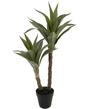 Den konstgjorda växtagaven 76 cm har två långa, tjocka stjälkar med spetsiga gröna blad som liknar en agave, presenterade i en svart plastkruka mot en vanlig vit bakgrund.