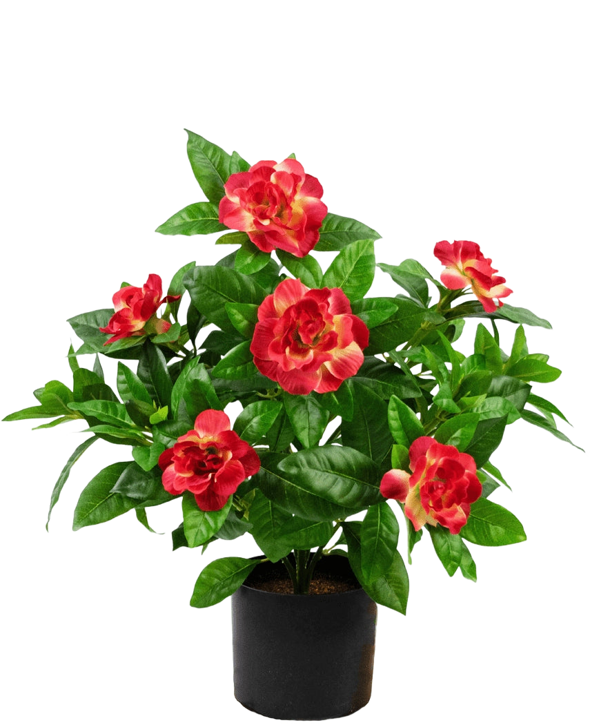 Konstgjord växt Gardenia 39 cm fuchsia