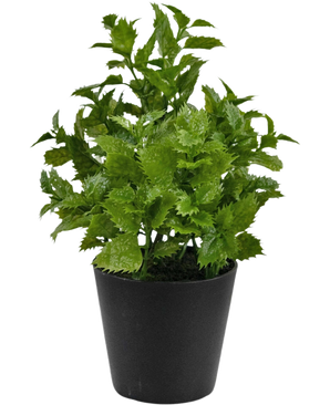 Artificiell växt Perilla 25 cm: En livlig grön lövväxt med tandade kanter i en enkel svart kruka, perfekt för att tillföra en touch av natur till alla rum.