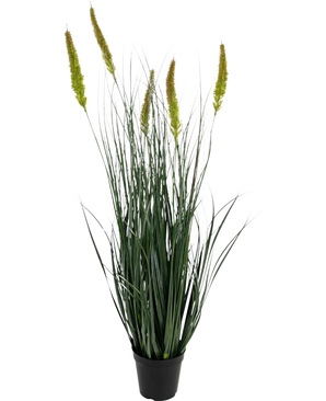 Artificiellt gräs Cattail Onion Grass Pot 90 cm Brandskyddsmedel är en konstgräsplanta i kruk med långa, smala gröna blad och flera höga, gulgröna fröhuvuden på en vanlig vit bakgrund.