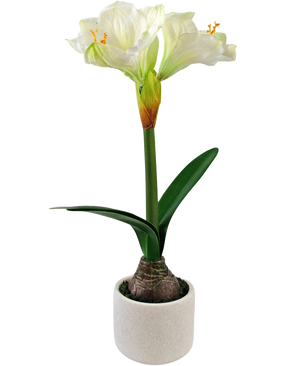 Den konstgjorda blomman Amaryllis Real Touch vit 48 cm har en verklighetstrogen vit amaryllisblomma med gröna blad och synlig lök i en liten vit kruka, perfekt för att tillföra elegans till alla rum.