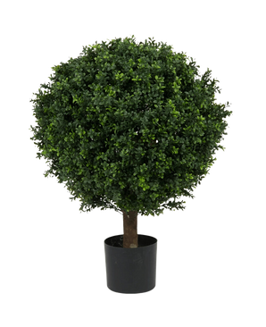 Artificiell buxbom på stjälk romersk stil UV 85cm är ett runt, lummigt grönt konstgjort träd med tätt blad och en enda stam, i en enkel svart kruka mot en vanlig vit bakgrund.