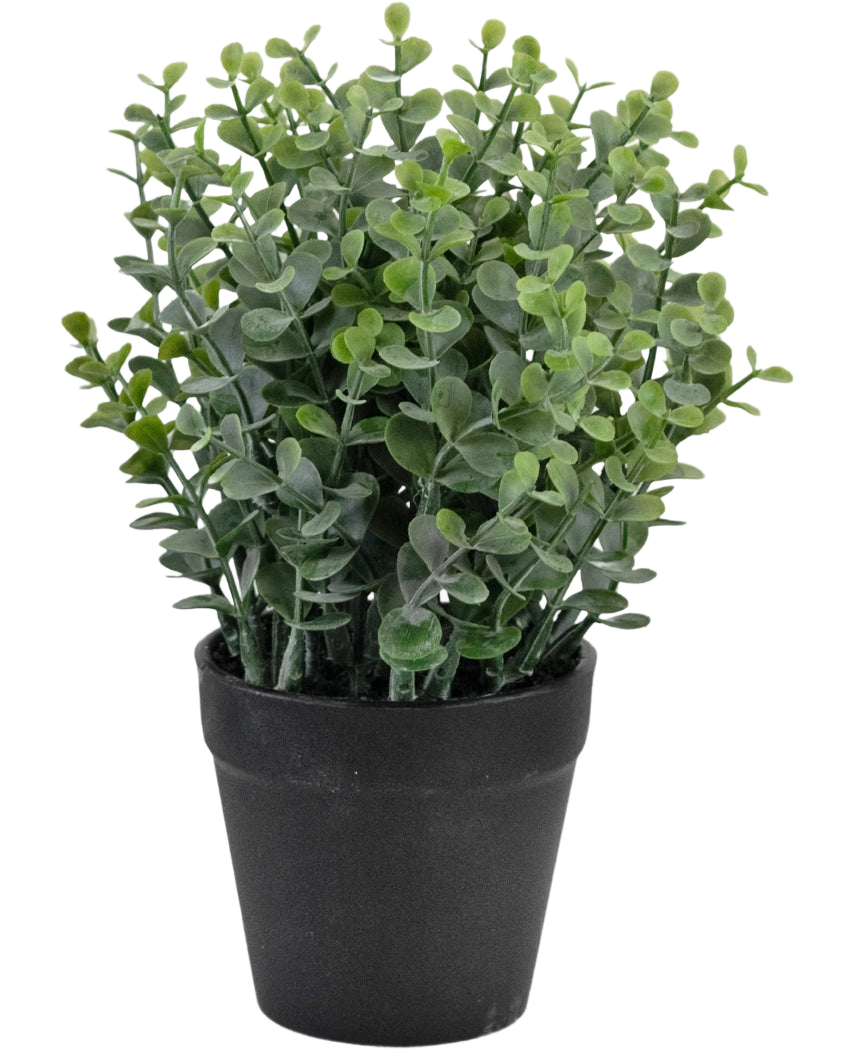 Den konstgjorda växten Pumila 23 cm är en liten grön krukväxt med runda blad i en enkel svart kruka, avbildad mot en vit bakgrund.