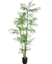 Konstgjord växt Ruscus 210 cm